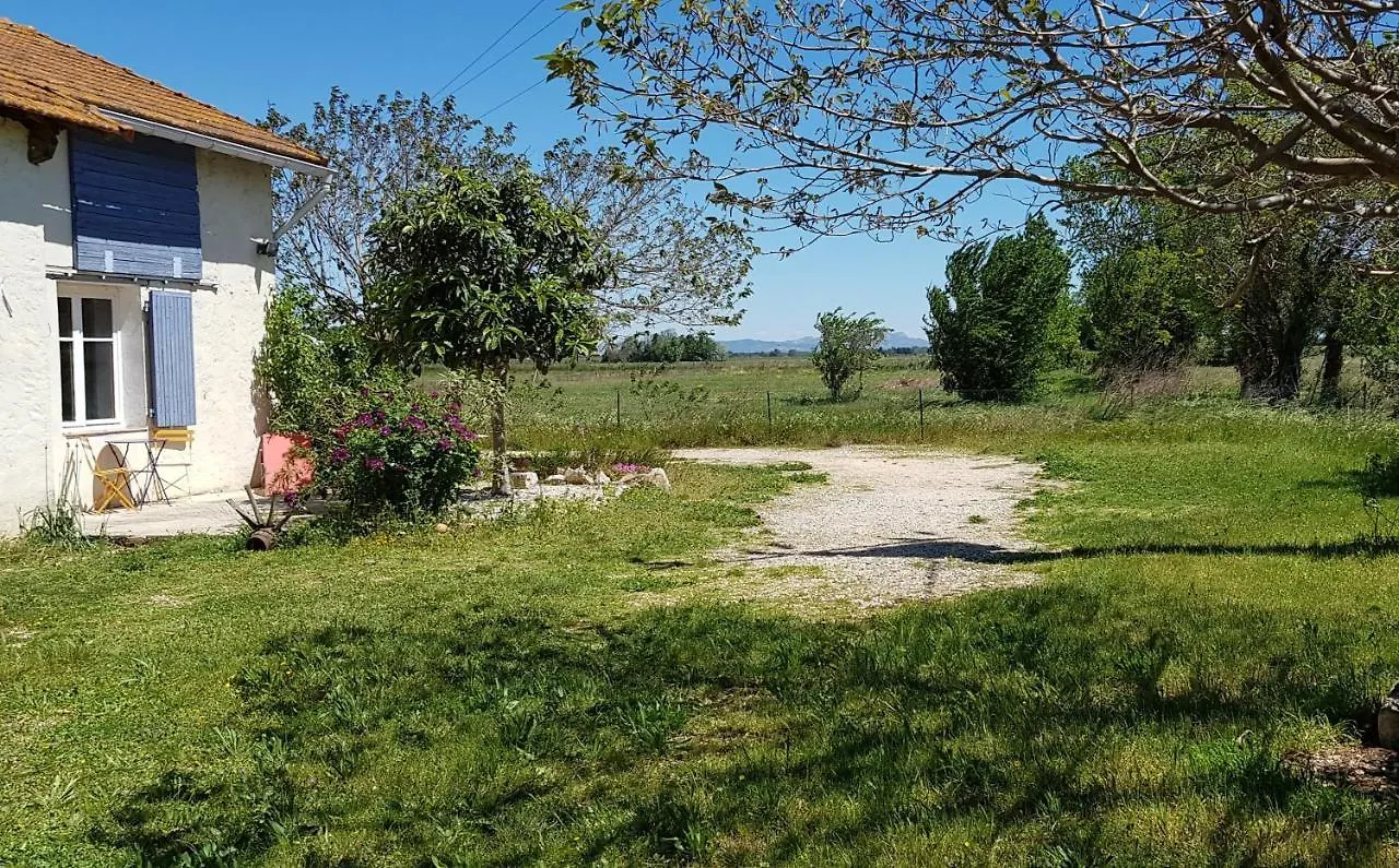 Petite Maison Refaite A Neuf Dans Mas Du 19Eme Siecle Arles France