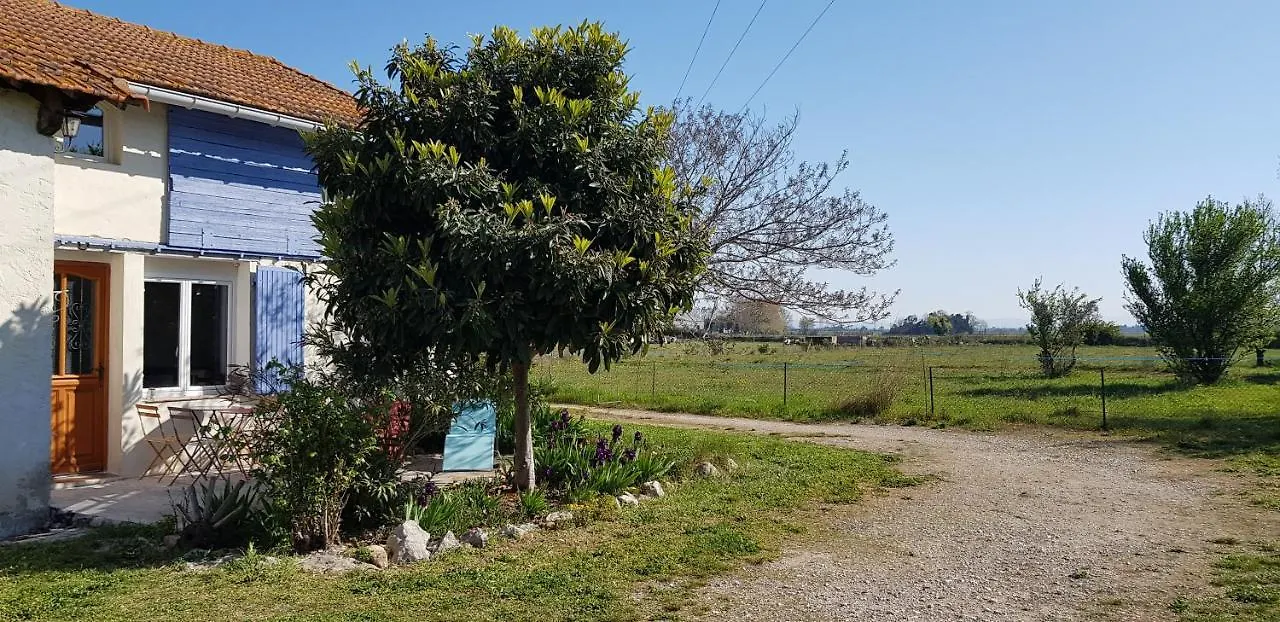 Petite Maison Refaite A Neuf Dans Mas Du 19Eme Siecle Arles